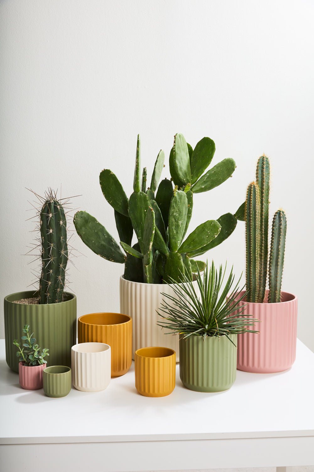 Beam Fluted Planter, Sage Green, 7 inch - Planty Love Co