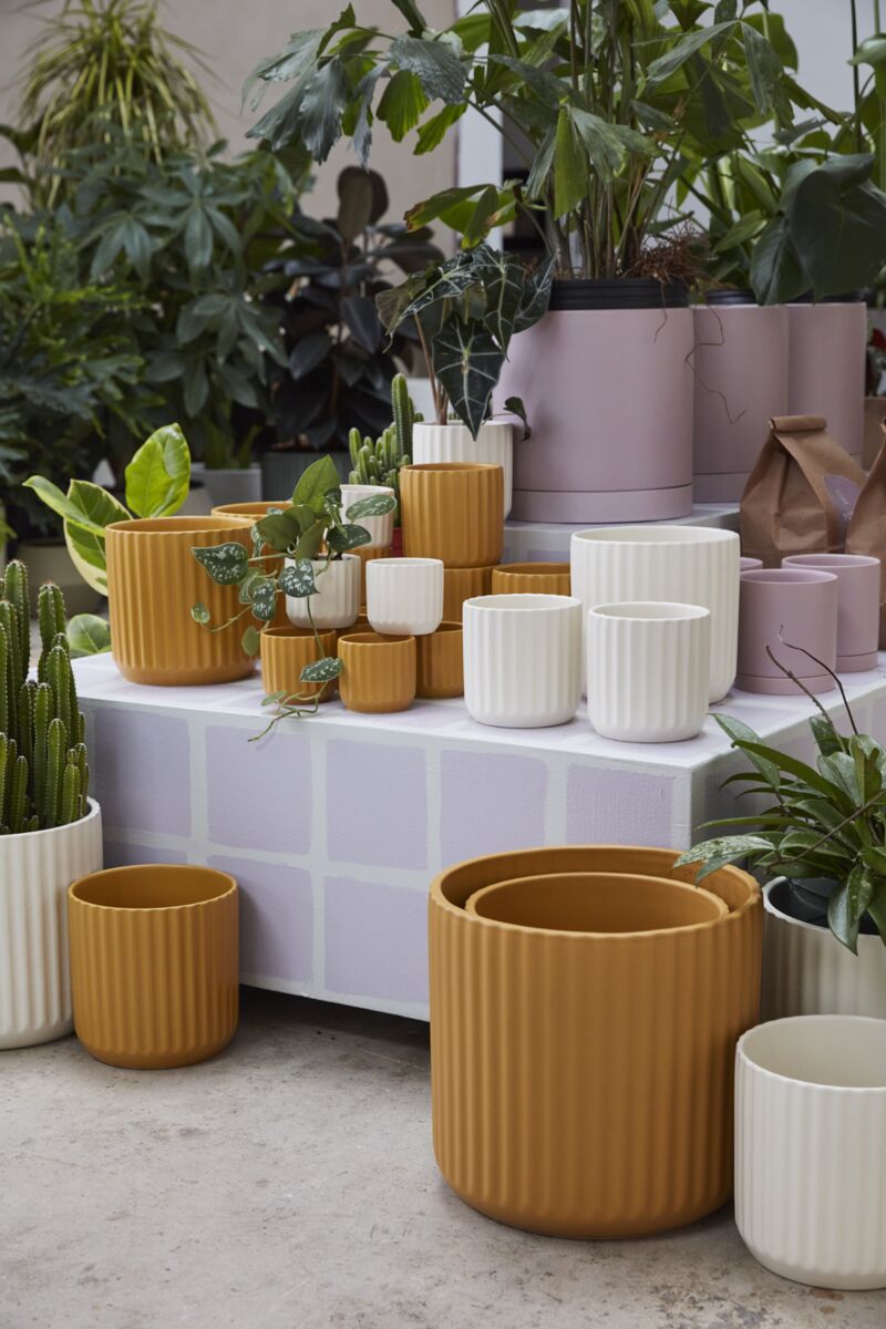 Beam Fluted Planter, Sage Green, 7 inch - Planty Love Co