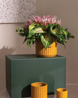 Beam Fluted Planter, Sage Green, 7 inch - Planty Love Co
