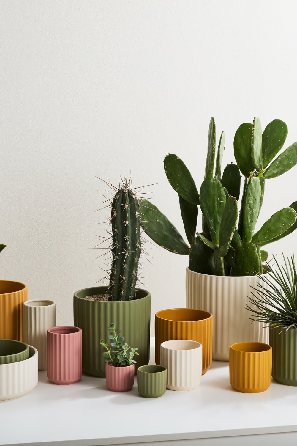 Beam Fluted Planter, Sage Green, 7 inch - Planty Love Co