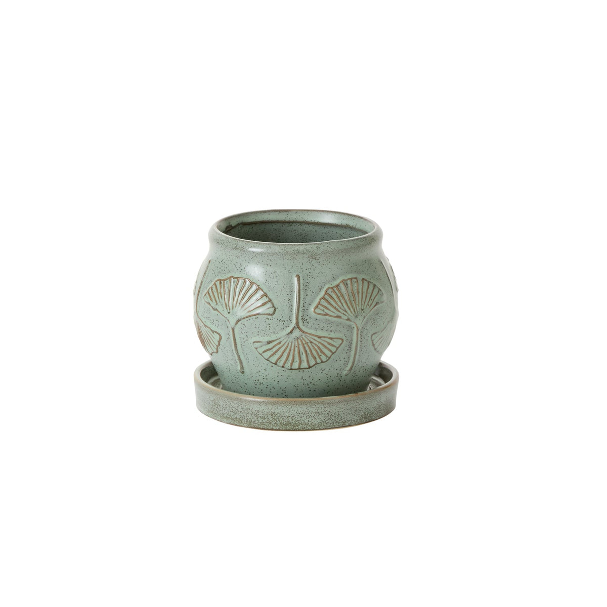 Biloba with Saucer Green Ceramic Planter with Drainage, 5.75 x 6 x 5.75 inch - Planty Love Co
