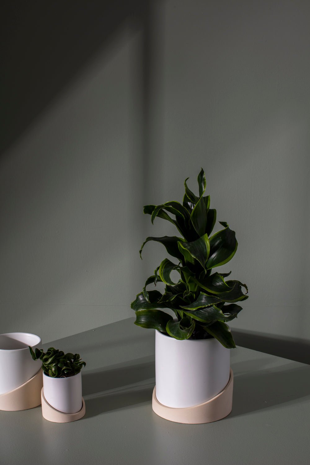 Brisbane Two Tone Planter with Drainage, 4.75 inch - Planty Love Co