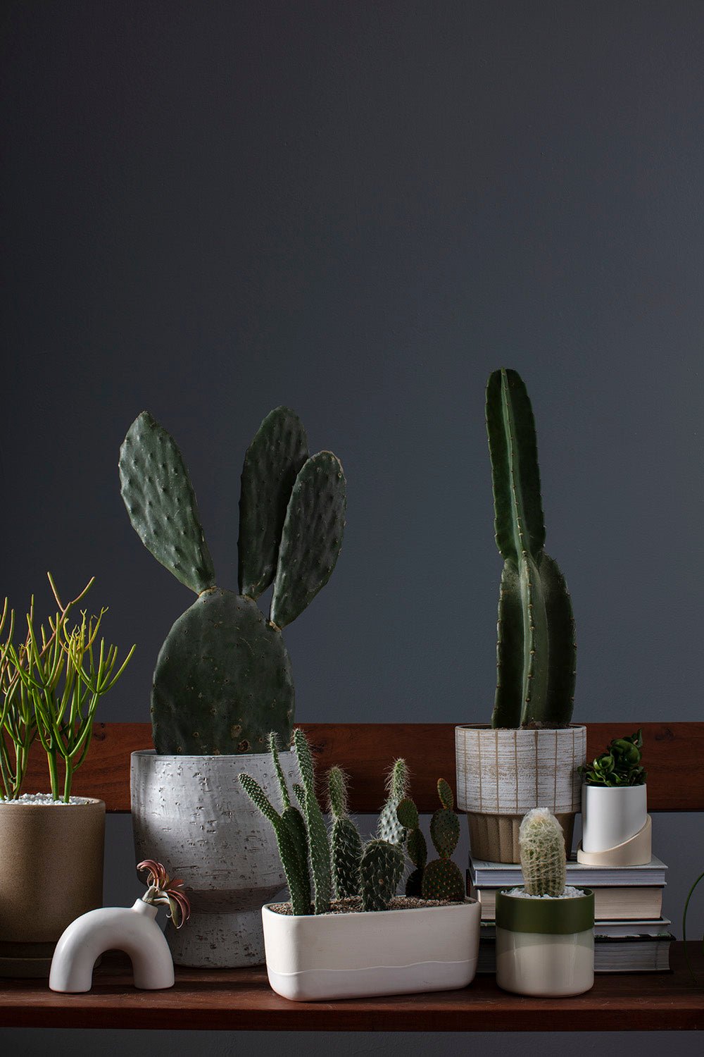Brisbane Two Tone Planter with Drainage, 4.75 inch - Planty Love Co