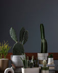 Brisbane Two Tone Planter with Drainage, 4.75 inch - Planty Love Co