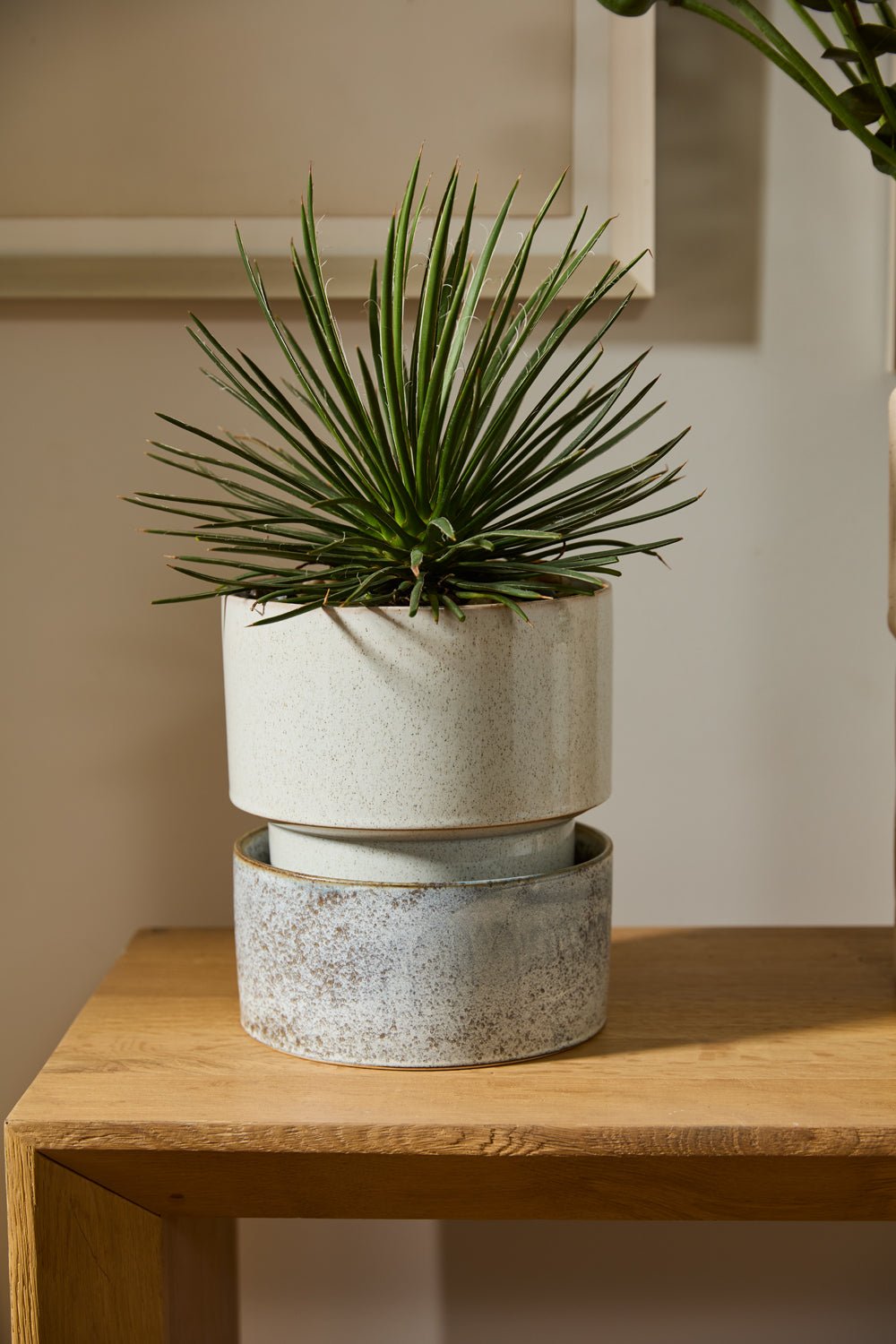Endeavor Reactive Glaze Ceramic Planter with Saucer, 8.5 inch - Planty Love Co