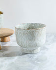 Hayden Patterned Reactive Glaze Ceramic Planter, 9.5 inch - Planty Love Co
