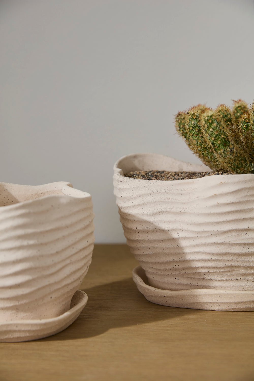 Highland Wavy Rim Planter with Saucer, 6 inch - Planty Love Co