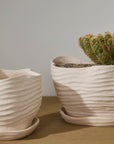 Highland Wavy Rim Planter with Saucer, 6 inch - Planty Love Co