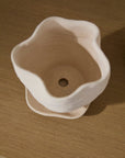 Highland Wavy Rim Planter with Saucer, 6 inch - Planty Love Co