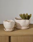 Highland Wavy Rim Planter with Saucer, 6 inch - Planty Love Co