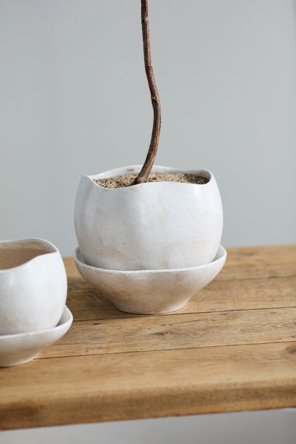 Iona Ceramic Planter with Deep Saucer, 10.25 inch - Planty Love Co