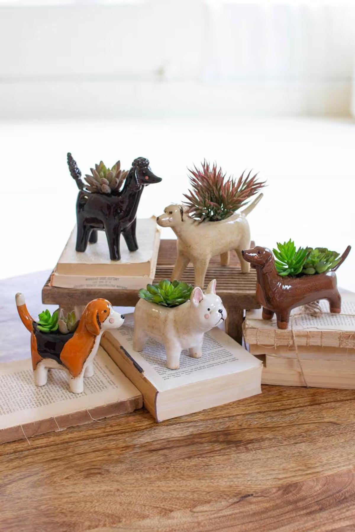 Ceramic Dog Planters – Set of 5