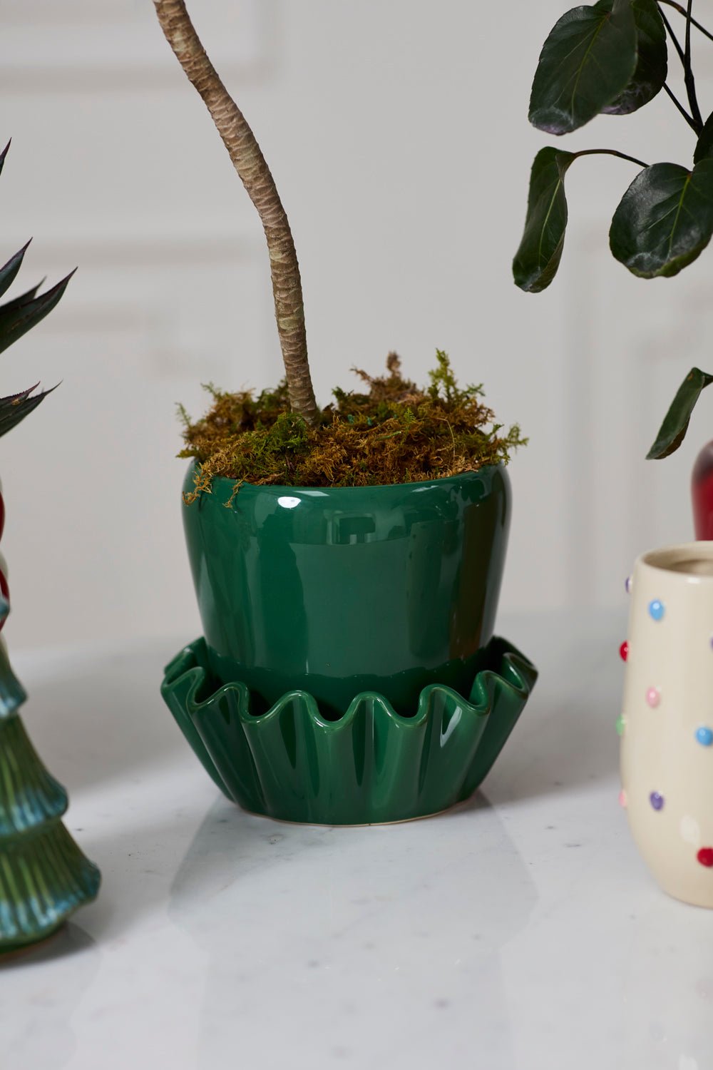 Lorelai Glossy Green Ceramic Planter with Saucer, 8 inch - Planty Love Co