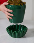 Lorelai Glossy Green Ceramic Planter with Saucer, 8 inch - Planty Love Co