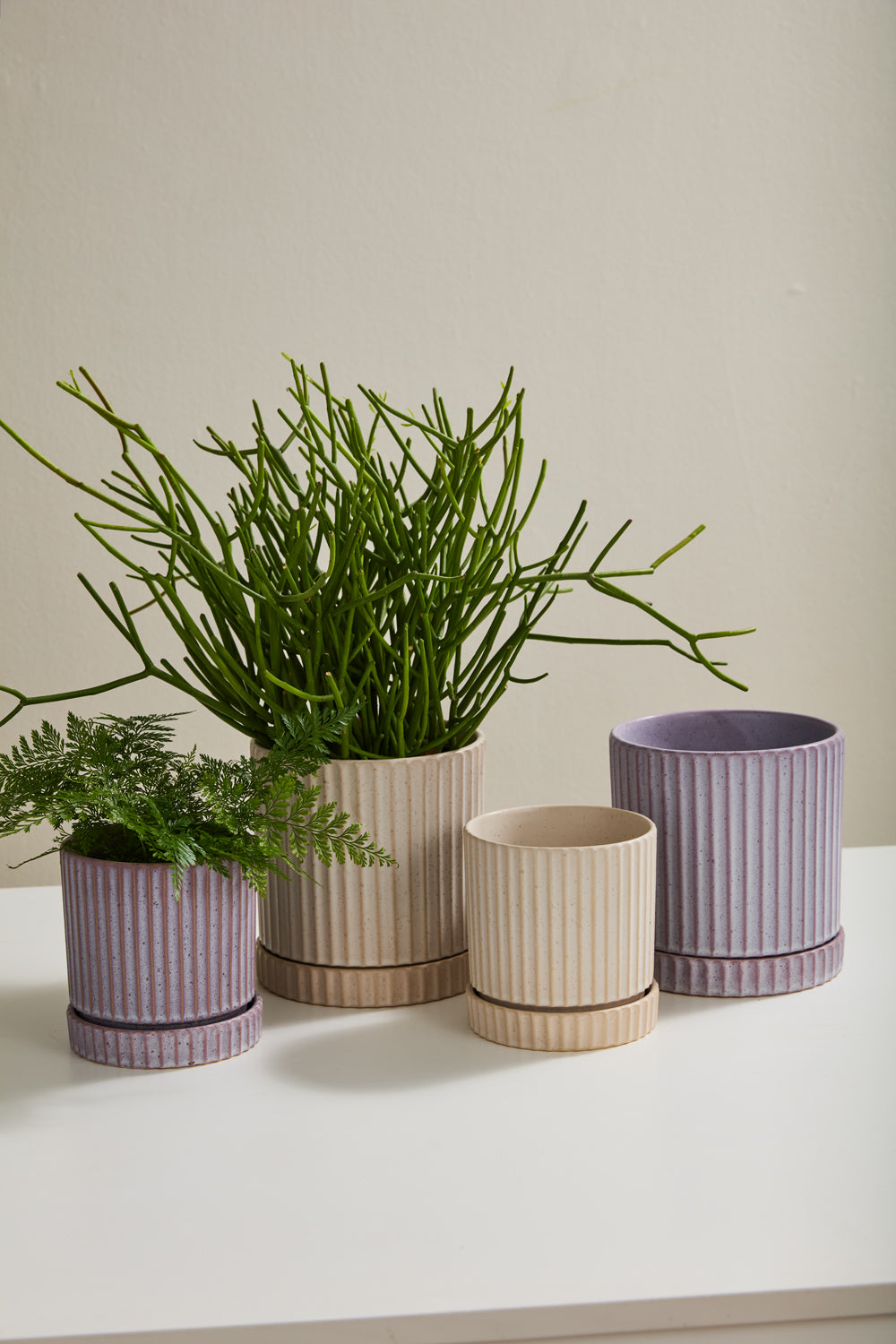 Los Feliz planter styled on a surface