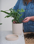 Los Feliz ribbed planter detail