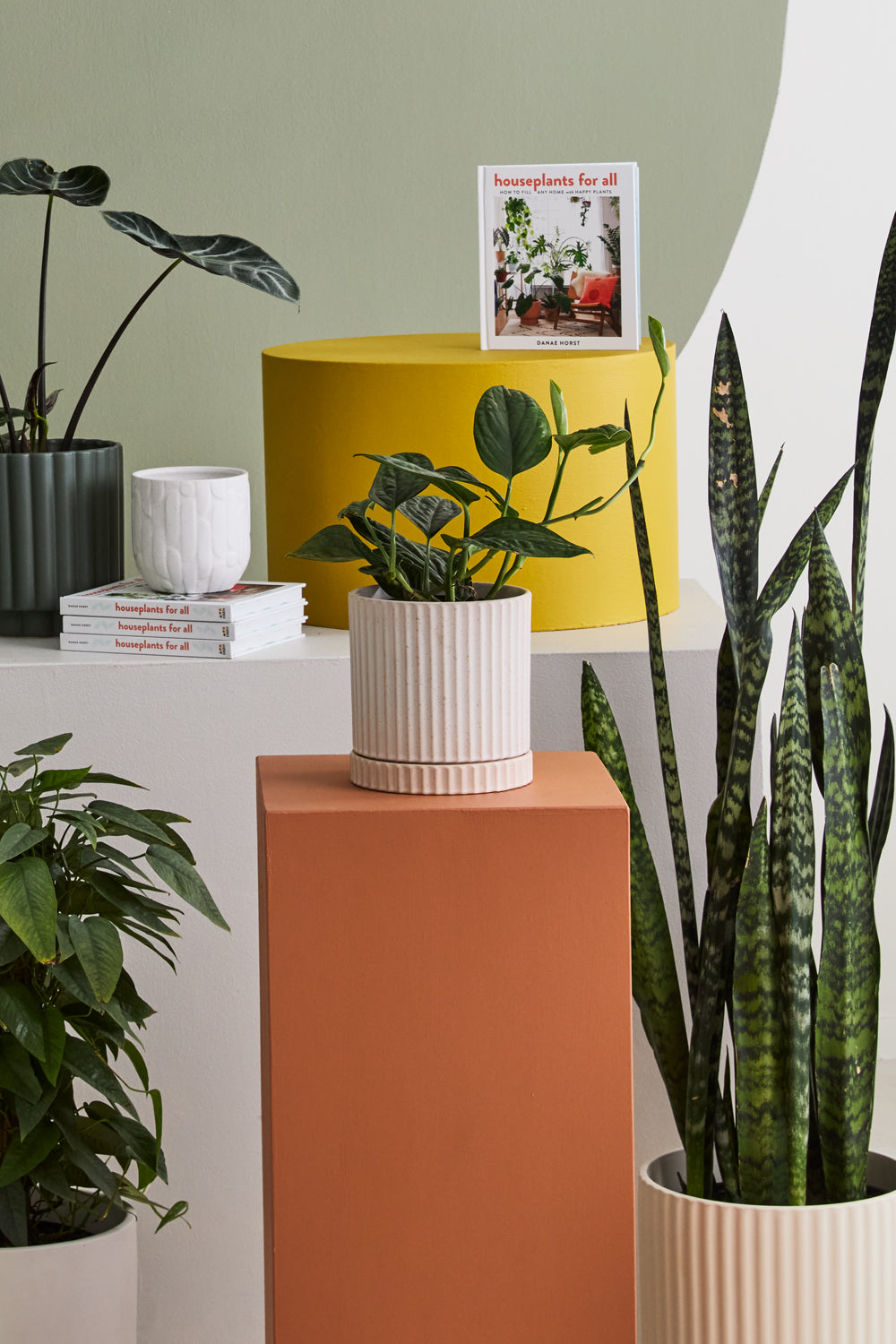 Los Feliz planter shown in available colors