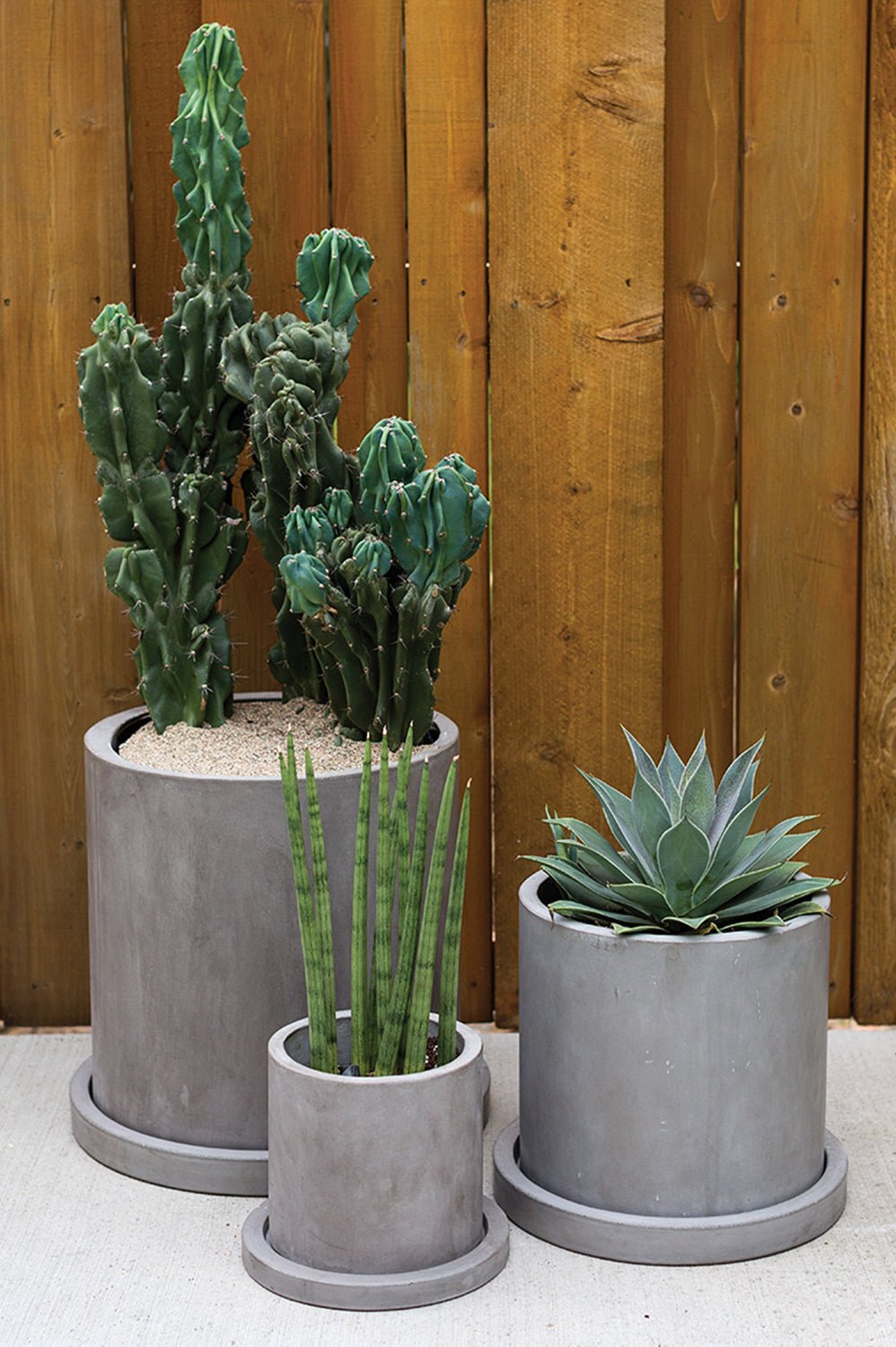 Marta Concrete Planter with Saucer, 14 inch - Planty Love Co
