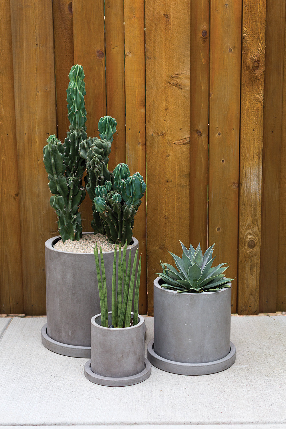 Marta concrete planter styled against a wood fence
