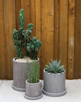 Marta concrete planter styled against a wood fence