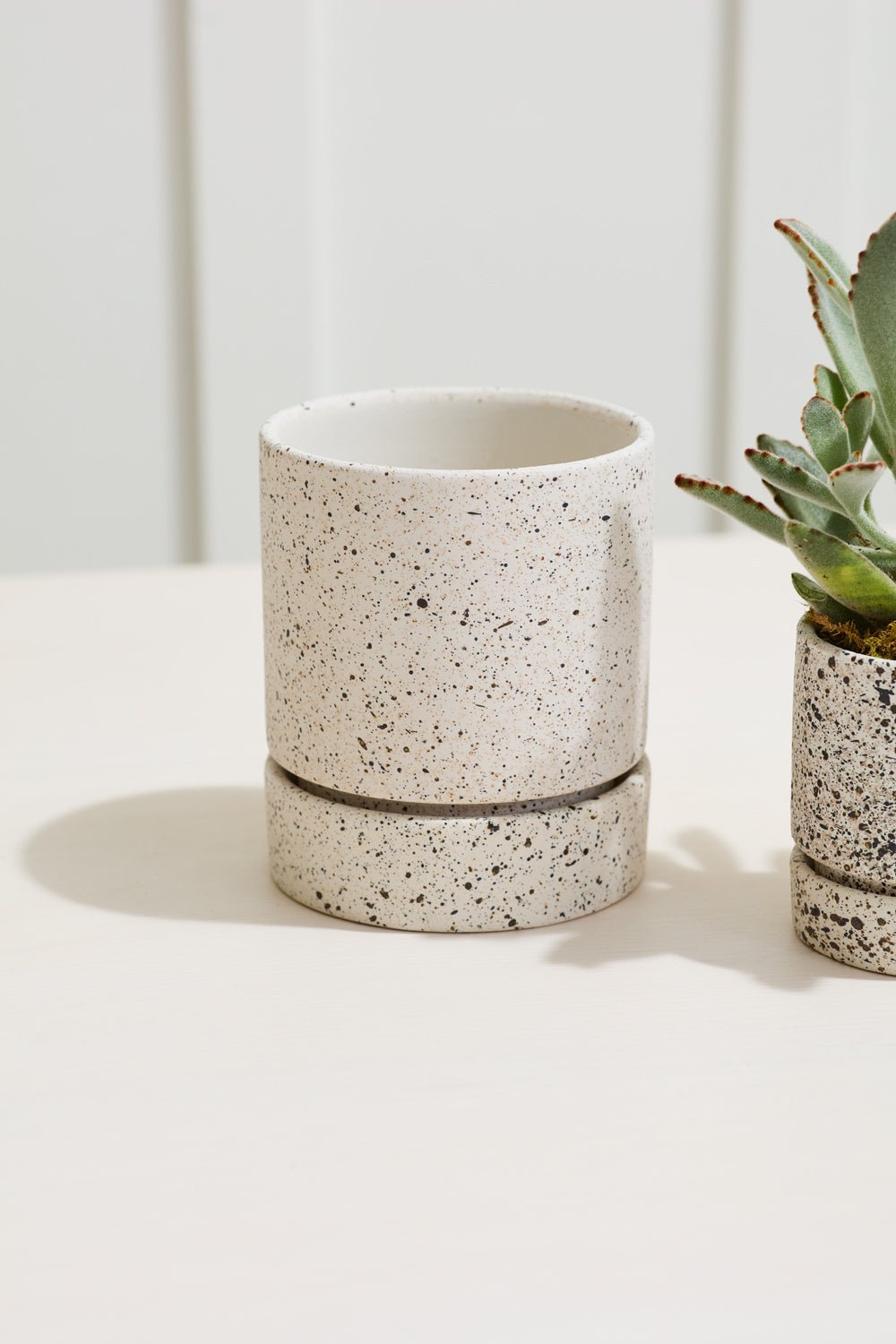 Nisha Textured Ceramic Planter with Saucer, 5 inch - Planty Love Co