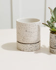 Nisha Textured Ceramic Planter with Saucer, 5 inch - Planty Love Co