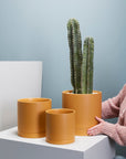 Romey Ceramic Planter with Drainage and Saucer, Ochre, 7 inch - Planty Love Co
