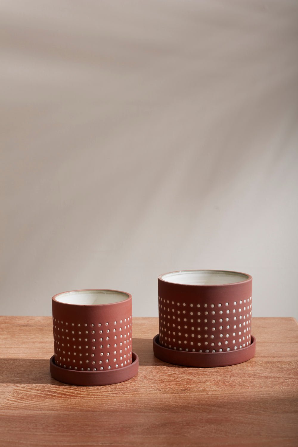 Salamanca Dotted Terracotta Planter with Saucer, 5.5 inch - Planty Love Co