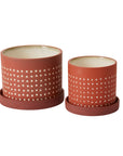 Salamanca dotted terracotta planters with cream interiors and saucers