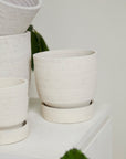 Salvage Recycled Ceramic Planter with Saucer, 8 inch - Planty Love Co