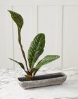 Shoal Stone-Texture Ceramic Trough Planter, 16 inch - Planty Love Co