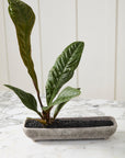 Shoal Stone-Texture Ceramic Trough Planter, 16 inch - Planty Love Co