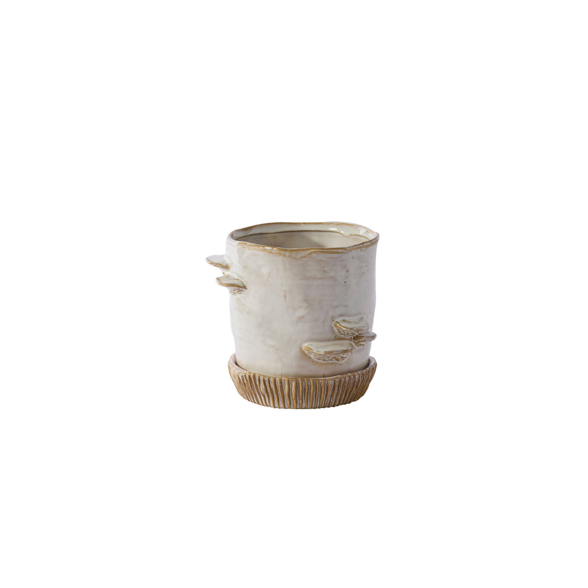 Stepped Mushroom Ceramic Planter with Saucer, 6 inch - Planty Love Co