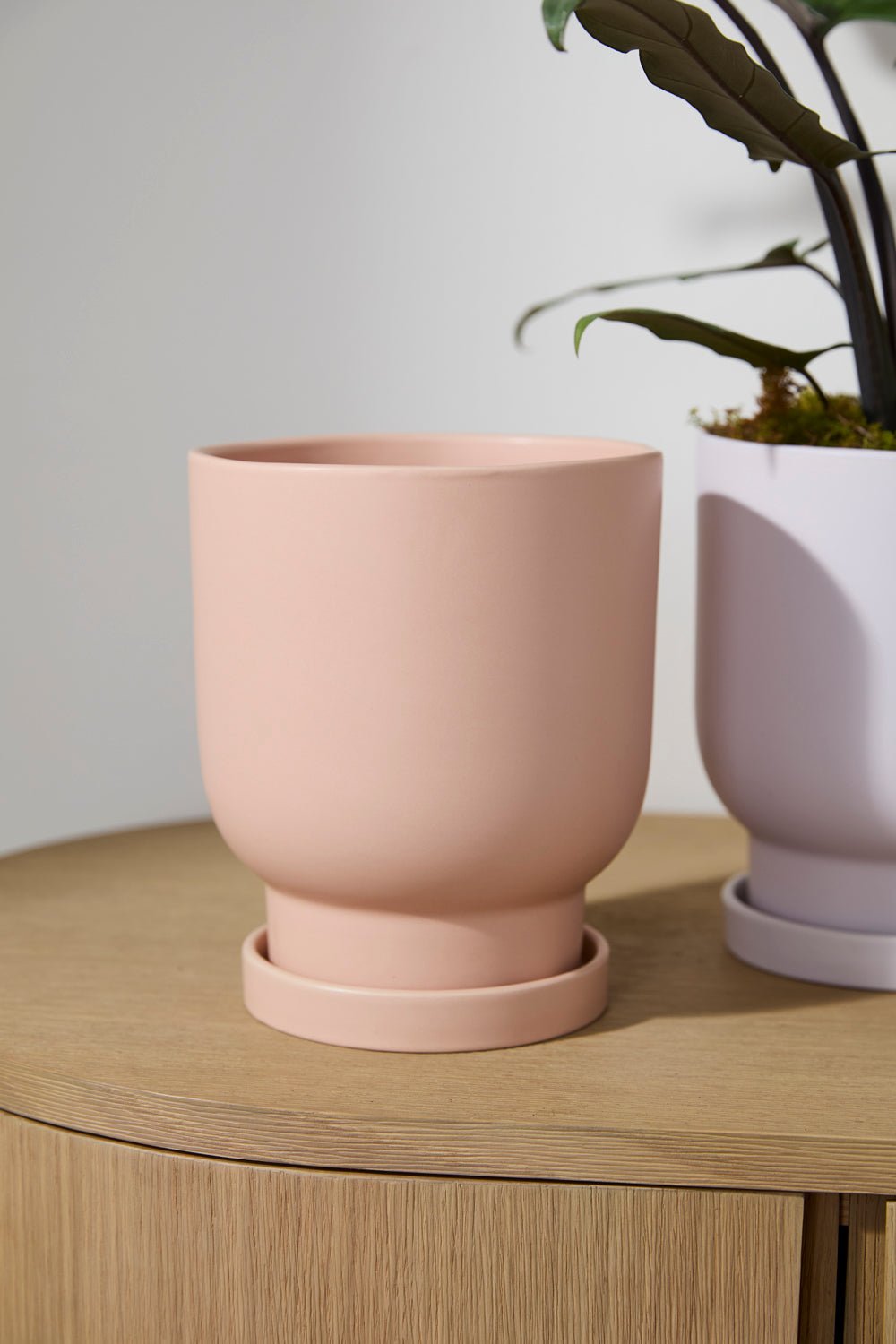 Tarrytown Peach Ceramic Planter with Saucer, 7 inch - Planty Love Co